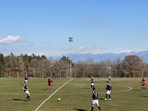 ΔΙΚΗΓΟΡΙΚΟΣ ΣΥΛΛΟΓΟΣ ΚΟΖΑΝΗΣ - Δ.Σ.Ι. 0 - 1